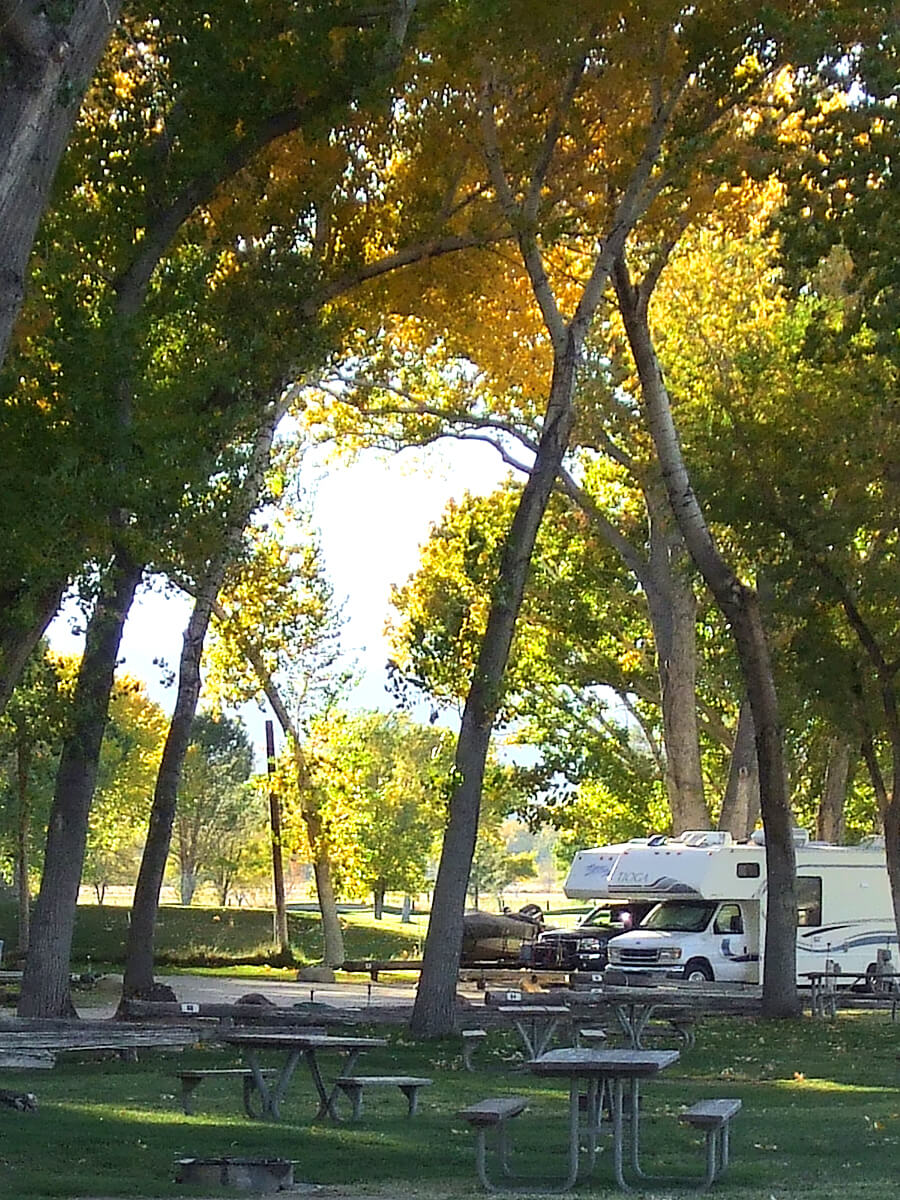 Browns-Town-Campground-Cottonwood-Canopy